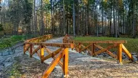 Las miejski w Giżycku pod koniec jesieni, listopad 2021 r. - zdjęcie 33