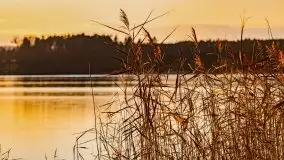 Listopadowy zachód słońca nad jeziorem Tałty, Skorupki - zdjęcie 13