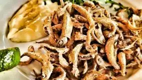 Tata na Mazury, czyli ojcowe z dziećmi w 2021 roku - zdjęcie 48