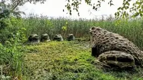 Tata na Mazury, czyli ojcowe z dziećmi w 2021 roku - zdjęcie 74