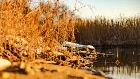 Grudniowy wschód słońca nad jeziorem Niegocin - zdjęcie 43