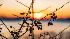 Zachód słońca nad jeziorem Święcajty, grudzień 2021 r. - zdjęcie 5