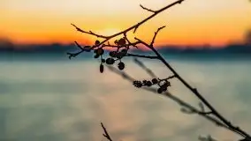 Zachód słońca nad jeziorem Święcajty, grudzień 2021 r. - zdjęcie 28