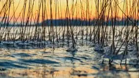 Zachód słońca nad jeziorem Święcajty, grudzień 2021 r. - zdjęcie 22