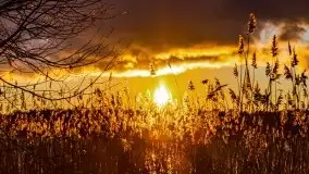 Grudniowy zachód słońca nad jeziorem Kisajno 2021 - zdjęcie 25