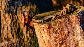 Grudniowy zachód słońca nad jeziorem Kisajno 2021 - zdjęcie 12