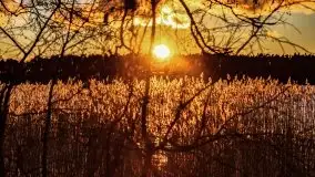 Grudniowy zachód słońca nad jeziorem Kisajno 2021 - zdjęcie 35