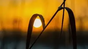 Wschód słońca nad jeziorem Niegocin, krzyż św. Brunona - zdjęcie 46