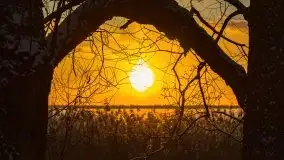 Wschód słońca nad jeziorem Niegocin, krzyż św. Brunona - zdjęcie 48