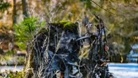 Przedwiośnie 2021 w lesie niedaleko Szczybałów Giżyckich - zdjęcie 25