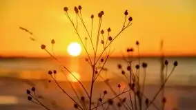 Wschód słońca nad jeziorem Łabap w Radziejach - zdjęcie 19