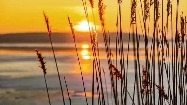 Styczniowy zachód słońca nad jeziorem Święcajty, 2022 r. - zdjęcie 5