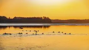 Styczniowy zachód słońca nad jeziorem Święcajty, 2022 r. - zdjęcie 33