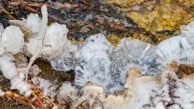 Zimowy las nad jeziorem Mulik, styczeń 2021 - zdjęcie 38