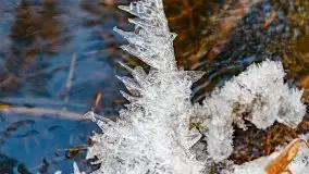 Zimowy las nad jeziorem Mulik, styczeń 2021 - zdjęcie 11