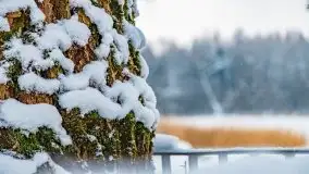 Księżycowy Dworek i jezioro Siercze w okowach zimy - zdjęcie 29