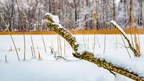 Księżycowy Dworek i jezioro Siercze w okowach zimy - zdjęcie 31