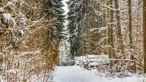 Księżycowy Dworek i jezioro Siercze w okowach zimy - zdjęcie 26