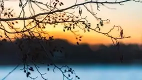 Wschód słońca nad jeziorami Boczne i Niegocin, styczeń 2022 r. - zdjęcie 60