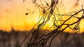 Wschód słońca nad jeziorami Boczne i Niegocin, styczeń 2022 r. - zdjęcie 36