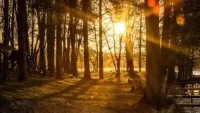 Wschód słońca nad jeziorami Boczne i Niegocin, styczeń 2022 r. - zdjęcie 37