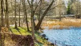 Słoneczny styczeń 2022 nad jeziorami Świętajno i Dworackie - zdjęcie 4