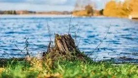 Słoneczny styczeń 2022 nad jeziorami Świętajno i Dworackie - zdjęcie 8