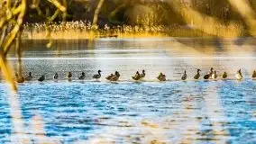 Słoneczny styczeń 2022 nad jeziorami Świętajno i Dworackie - zdjęcie 9