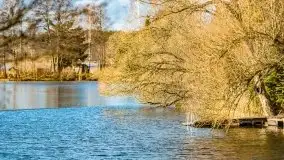 Słoneczny styczeń 2022 nad jeziorami Świętajno i Dworackie - zdjęcie 21