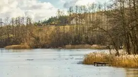 Słoneczny styczeń 2022 nad jeziorami Świętajno i Dworackie - zdjęcie 7