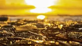 Styczniowe słońce, jezioro Dargin i kra... - zdjęcie 26