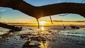 Styczniowe słońce, jezioro Dargin i kra... - zdjęcie 55