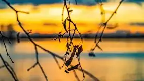 Zachód słońca nad jeziorem Bocznym, styczeń 2022 - zdjęcie 38