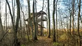 Wieża widokowa nad jeziorem Łuknajno - zdjęcie 1