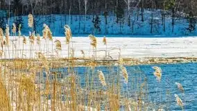 Zimowa Stranda i jezioro Kisajno, styczeń 2022 r. - zdjęcie 20