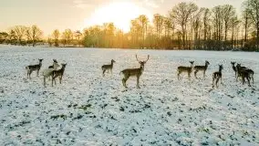 Daniele w okolicach Sztynortu, styczeń 2022 r. - zdjęcie 6