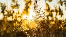 Zachód słońca przy wyspie Wydmińskiej, marzec 2021 r. - zdjęcie 4