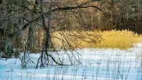 Zachód słońca przy wyspie Wydmińskiej, marzec 2021 r. - zdjęcie 26