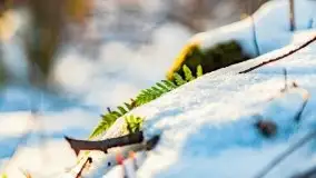 Zachód słońca przy wyspie Wydmińskiej, marzec 2021 r. - zdjęcie 22