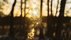 Zachód słońca przy wyspie Wydmińskiej, marzec 2021 r. - zdjęcie 31