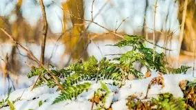 Zachód słońca przy wyspie Wydmińskiej, marzec 2021 r. - zdjęcie 13