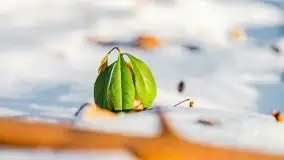 Zachód słońca przy wyspie Wydmińskiej, marzec 2021 r. - zdjęcie 47