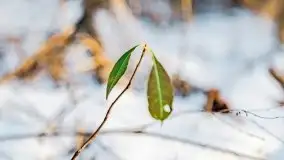 Zachód słońca przy wyspie Wydmińskiej, marzec 2021 r. - zdjęcie 56