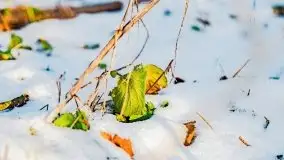 Zachód słońca przy wyspie Wydmińskiej, marzec 2021 r. - zdjęcie 43