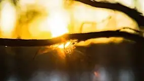 Zachód słońca przy wyspie Wydmińskiej, marzec 2021 r. - zdjęcie 54