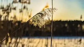 Zachód słońca przy wyspie Wydmińskiej, marzec 2021 r. - zdjęcie 49