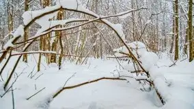 Zimowe widoki, pomiędzy Giżyckiem a Wilkasami - zdjęcie 36