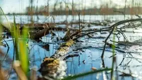 Zimowa sceneria nad plażą przy jeziorze Szóstak - zdjęcie 7