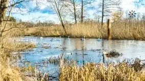 Zimowe jeziora przy Malinówce Wielkiej - zdjęcie 44