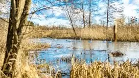 Zimowe jeziora przy Malinówce Wielkiej - zdjęcie 19